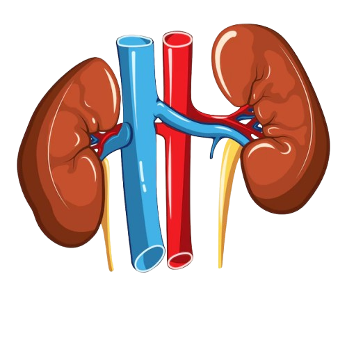 Chronic Kidney Disease