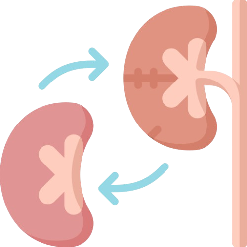 Kidney Transplantation