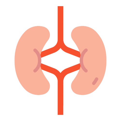 Kidney Transplantation