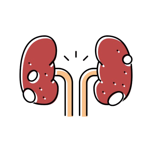 Kidney Infections